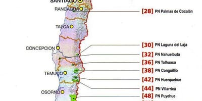 Harta Chile râu